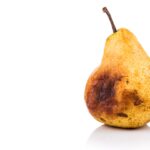picture of a bruised pear